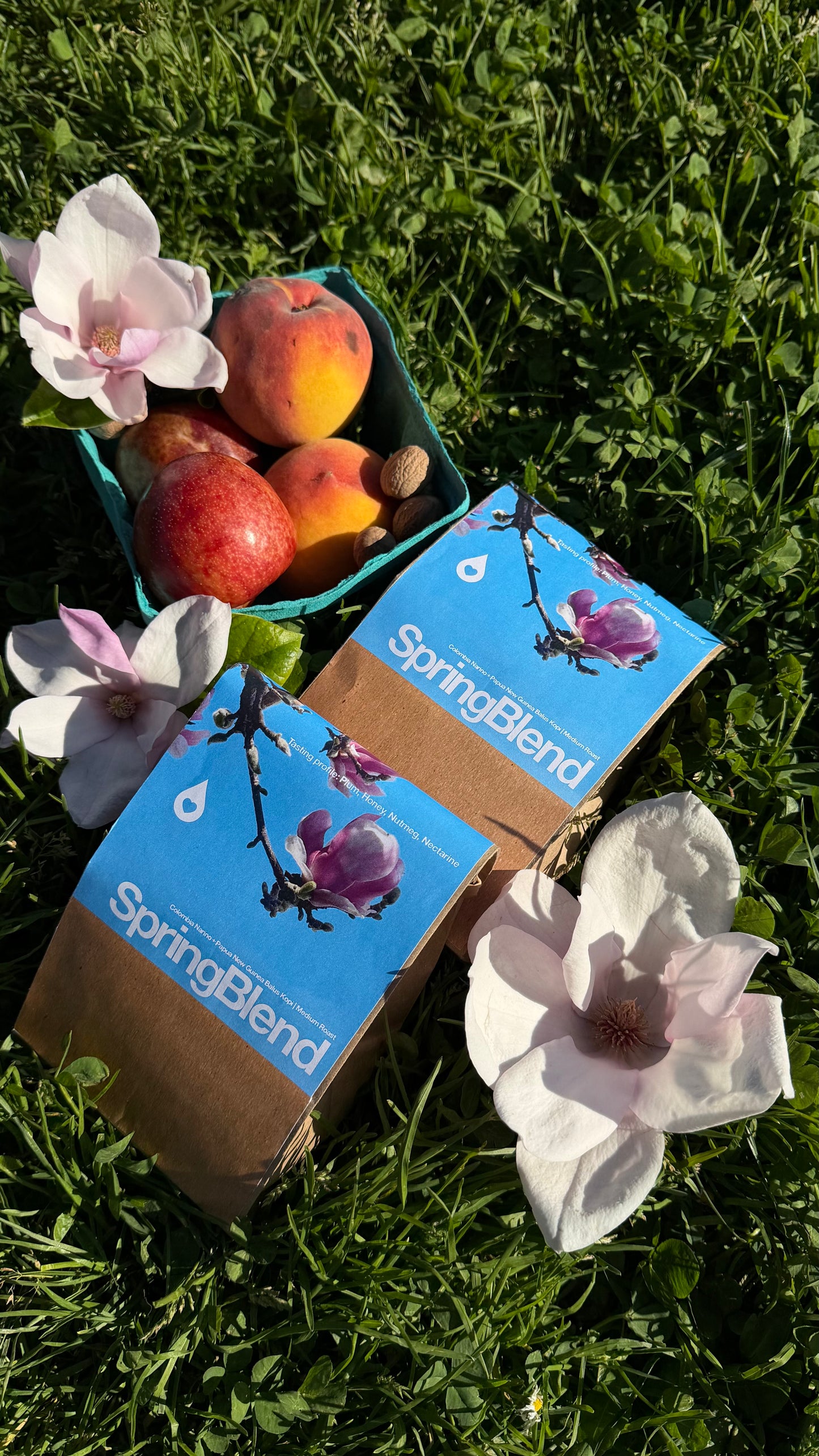 Spring Blend | Medium Roast