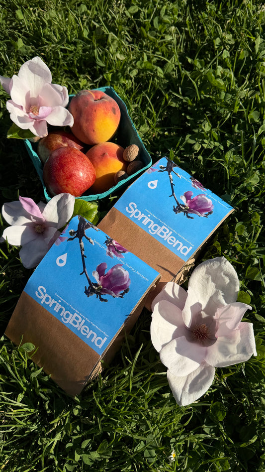 Spring Blend | Medium Roast